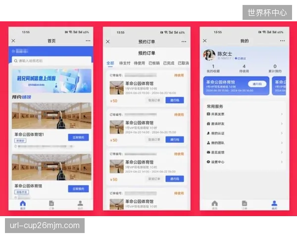 斥巨资开发的场馆独立APP，如何沦为用户手机里的“一次性”软件？